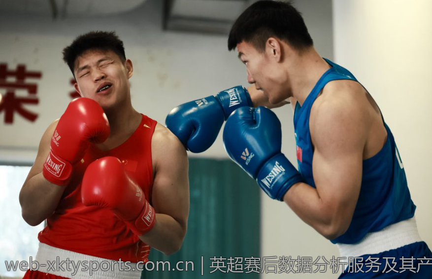 英超赛后数据分析服务及其产业发展