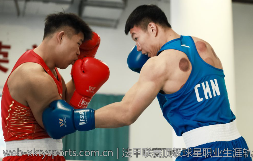 意甲联赛与其他欧洲五大联赛比较分析